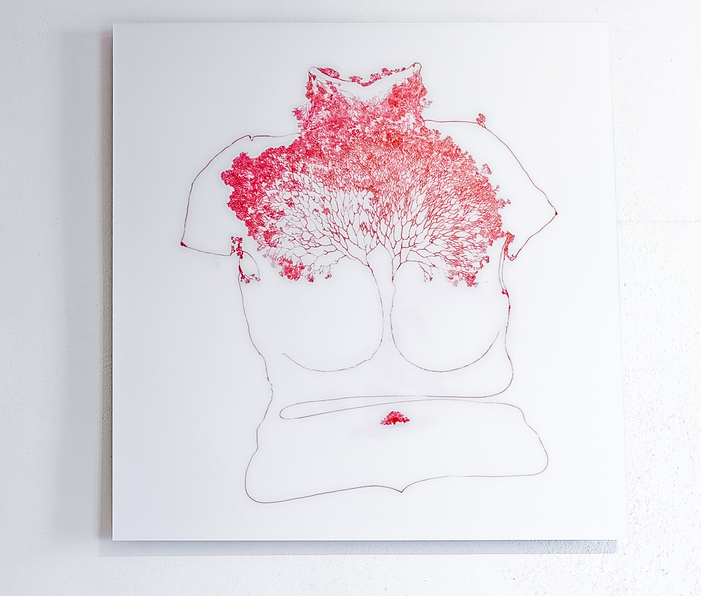 Izabela Żółcińska. Capillary Drawings. Image 07