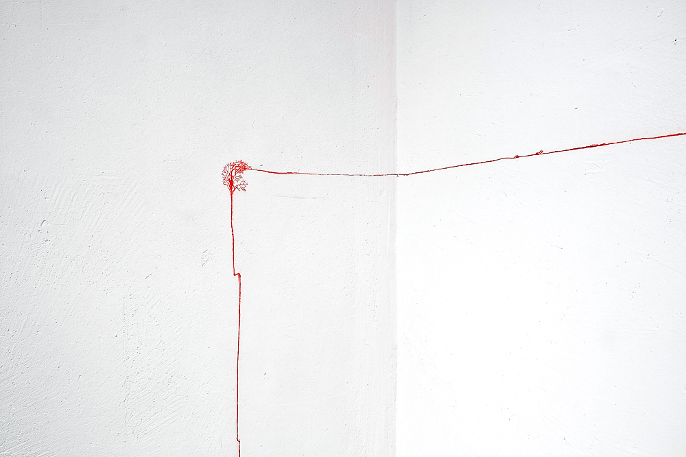 Izabela Żółcińska. Capillary Drawings. Image 09