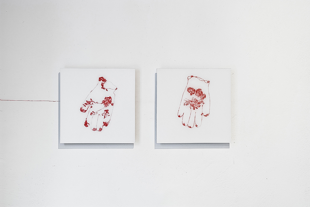 Izabela Żółcińska. Capillary Drawings. Image 14