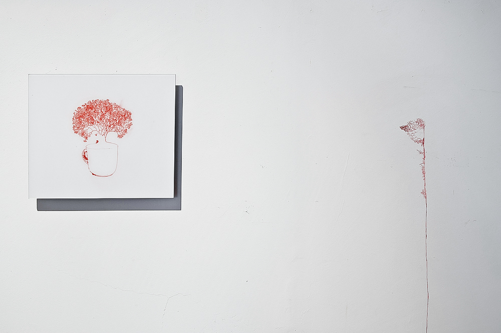 Izabela Żółcińska. Capillary Drawings. Image 15