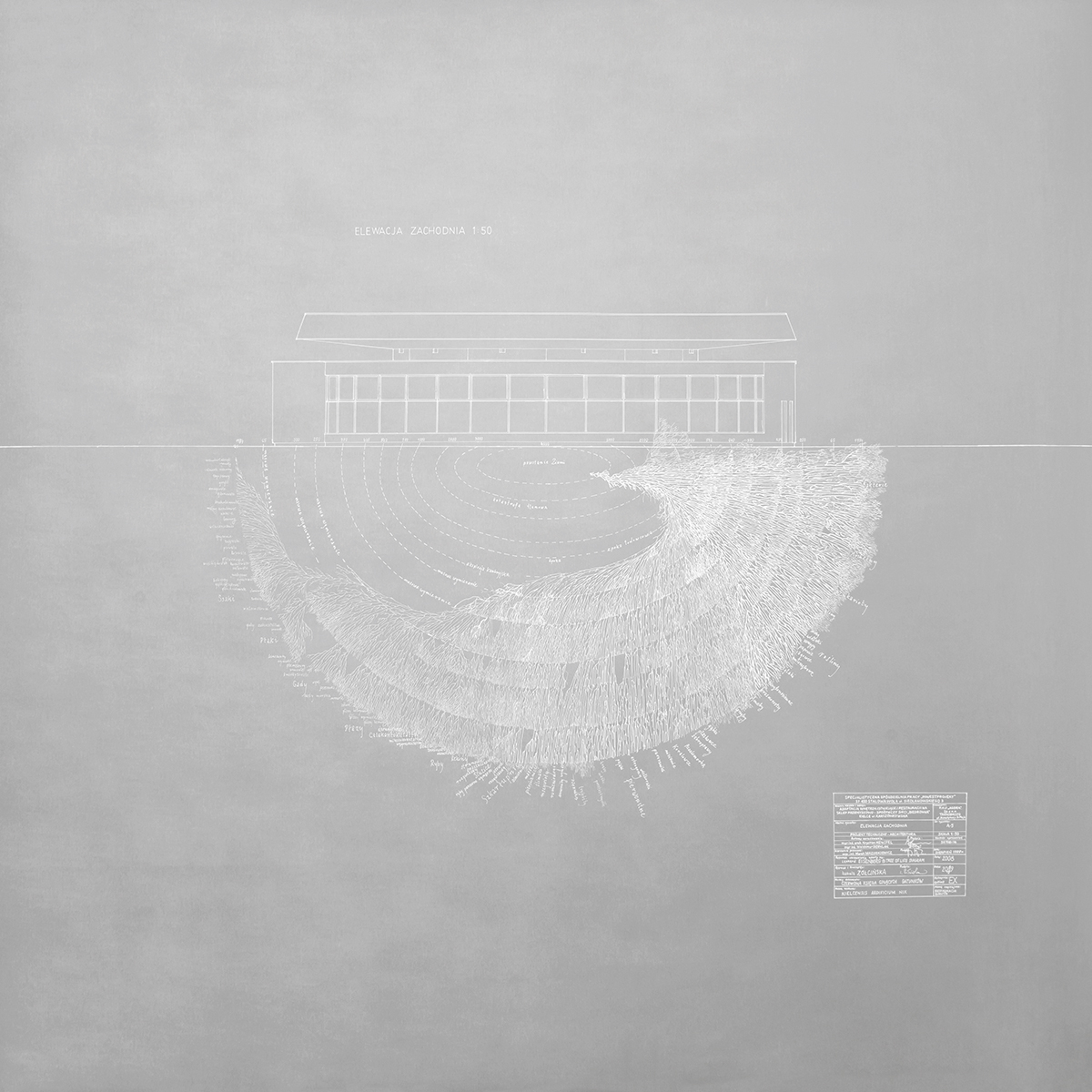 Izabela Zolcinska Work 016 Image 05