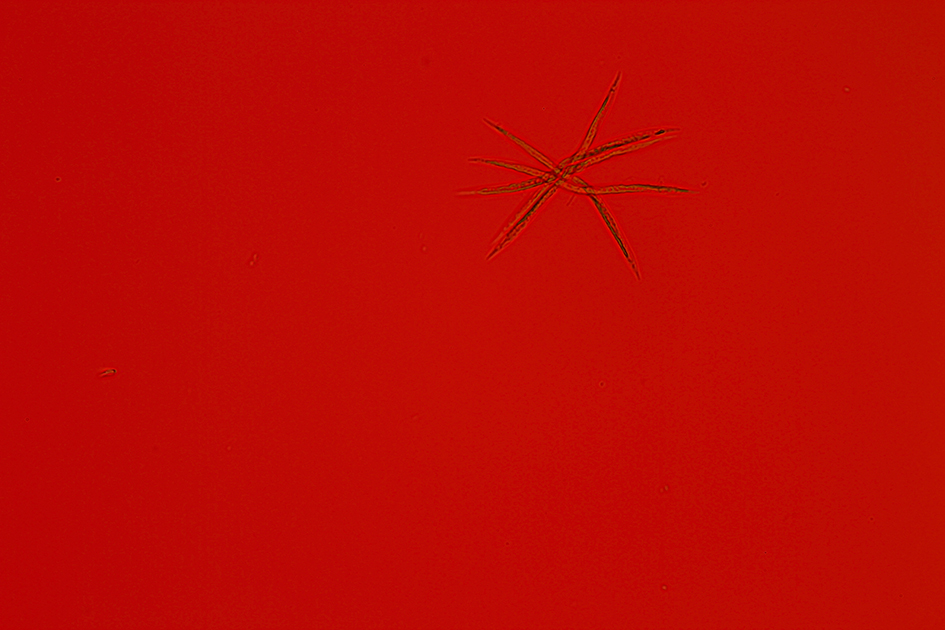 Izabela Zolcinska Work 030 Image 09