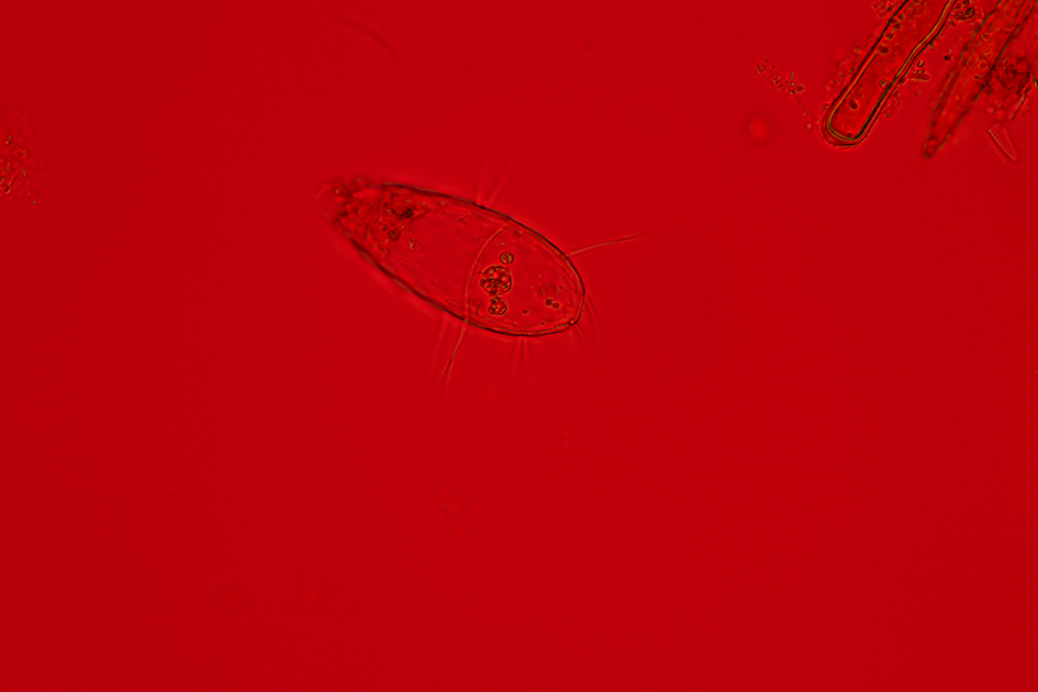 Izabela Zolcinska Work 030 Image 12