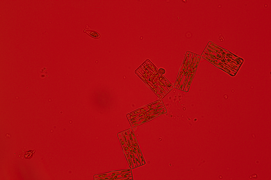Izabela Zolcinska Work 030 Image 15