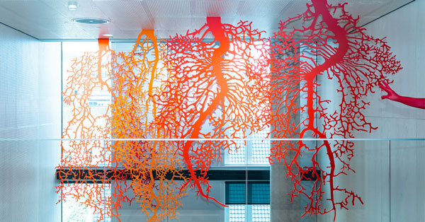The Red Roots